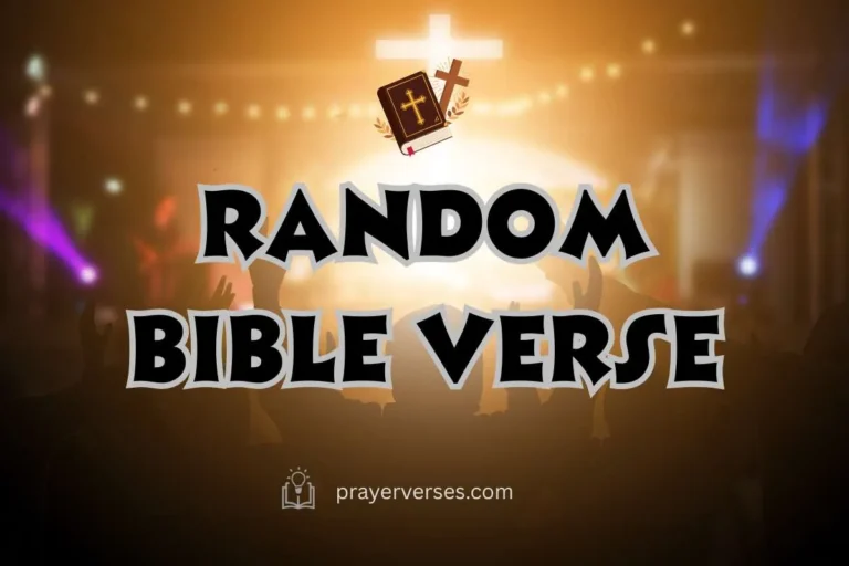 random-bible-verse-generator